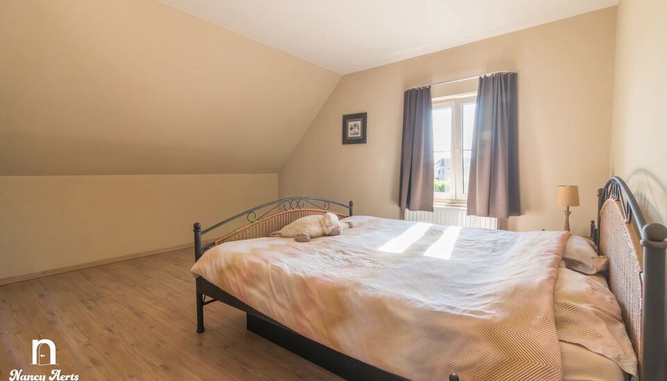 Gebouw voor gemengd gebruik te koop in Beringen