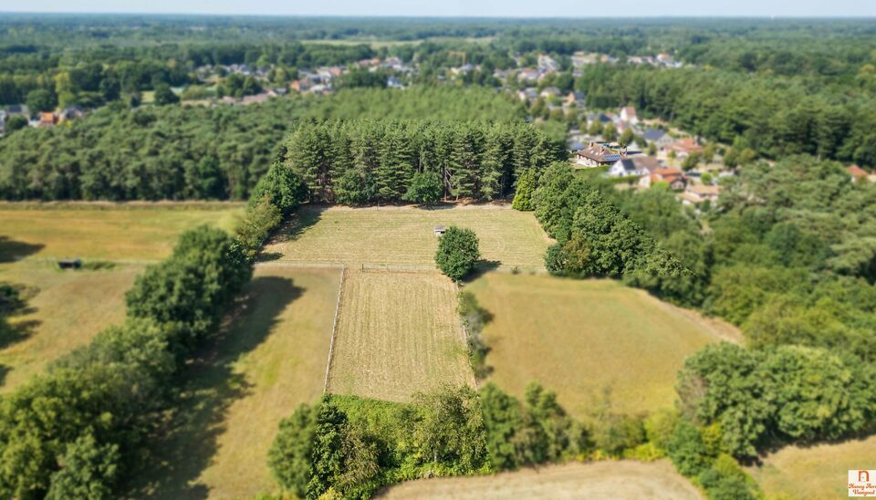 Villa te koop in Beringen Koersel
