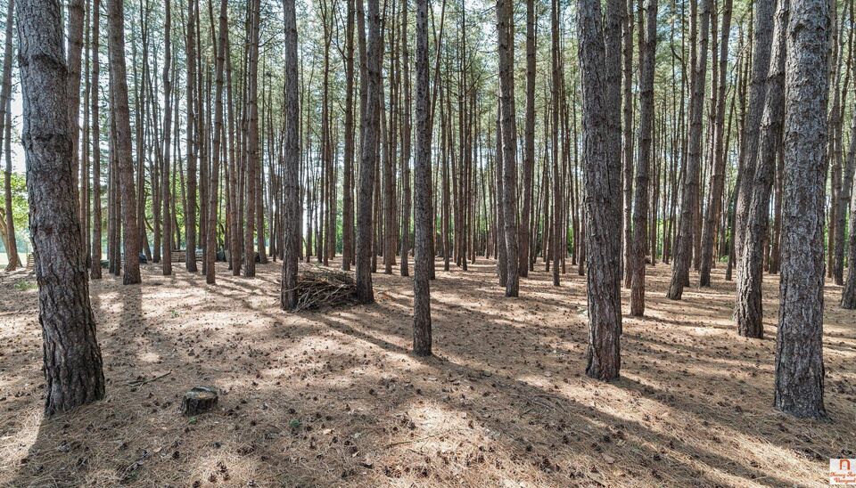 Villa te koop in Beringen Koersel