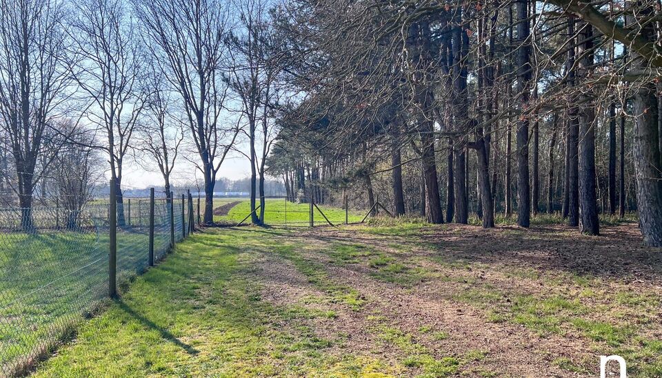 Villa te koop in Beringen Koersel